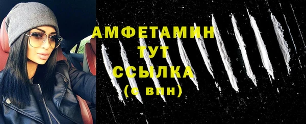 прущий лед Горняк