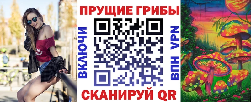 где продают Калининск Псилоцибиновые грибы GOLDEN TEACHER